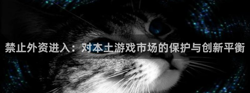 bg大游涂料(北京)有限公司：禁止外资进入：对本土游戏市场的保护与创新平衡