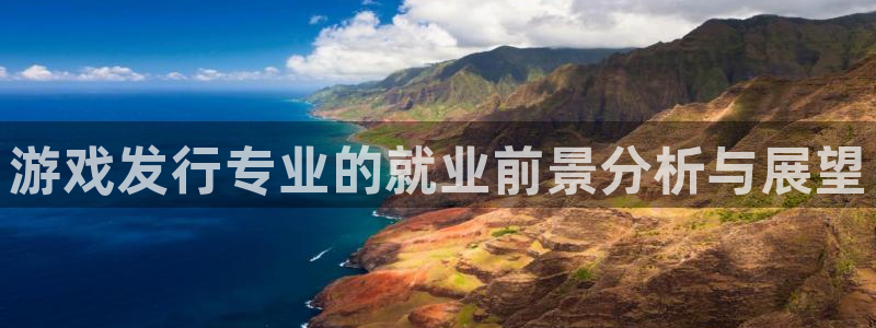 bg大游官网注册平台怎么样：游戏发行专业的就业前景分析与展望