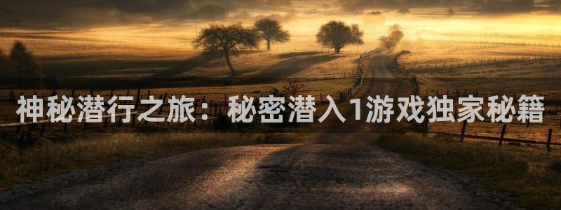 广州bg大游网络科技有限公司：神秘潜行之旅：秘密潜入1游戏独家秘籍