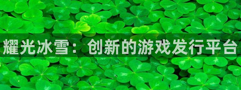 bg大游官网注册平台是什么意思：耀光冰雪：创新的游戏发行平台