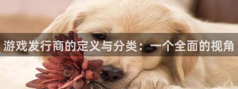 bg大游官网的奇趣腾讯是真的吗：游戏发行商的定义与分类：一个全面的视角