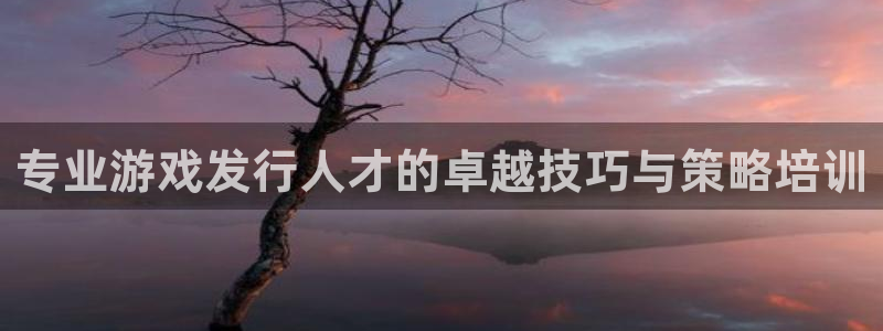 南京bg大游子电子商务有限公司