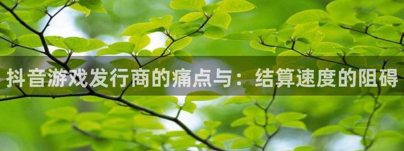 bg大游集团是什么企业