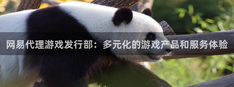 bg大游子出版社董事长：网易代理游戏发行部：多元化的游戏产品和服务体验
