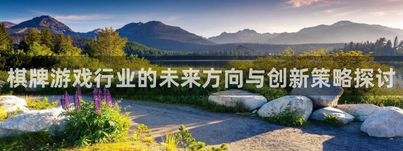 bg大游官网注册平台是什么：棋牌游戏行业的未来方向与创新策略探讨