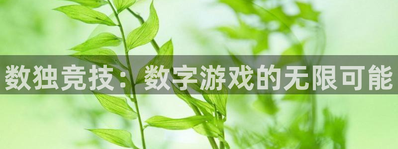 广州bg大游网络科技有限公司招聘：数独竞技：数字游戏的无限可能