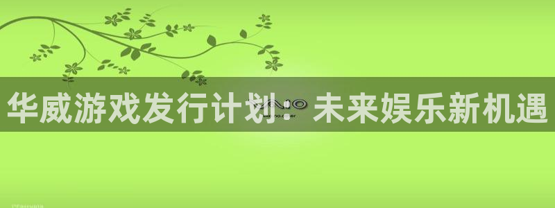 bg大游官网代理注册不了：华威游戏发行计划：未来娱乐新机遇