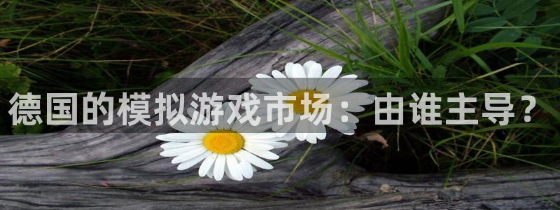 bg大游官网平台招商qq：德国的模拟游戏市场：由谁主导？