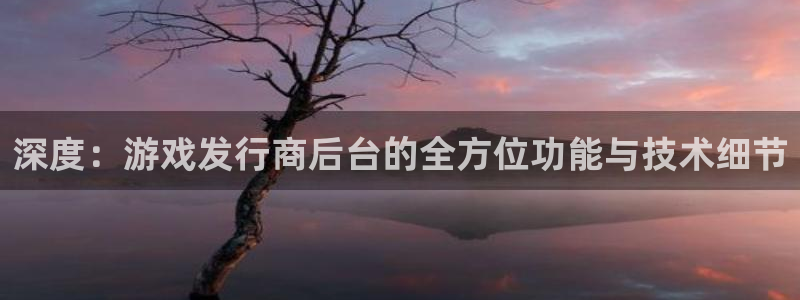 广州bg大游网络科技有限公司电话