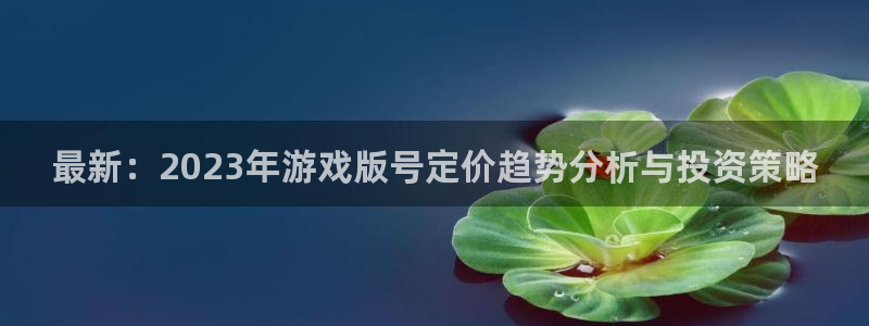 苏州bg大游网络科技有限公司：最新：2023年游戏版号定价趋势分析与投资策略