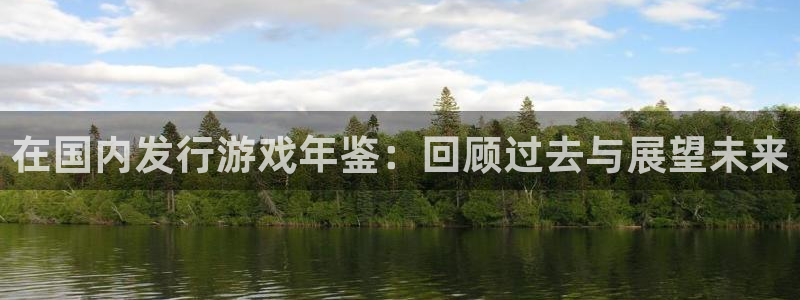 bg大游电子商务有限公司