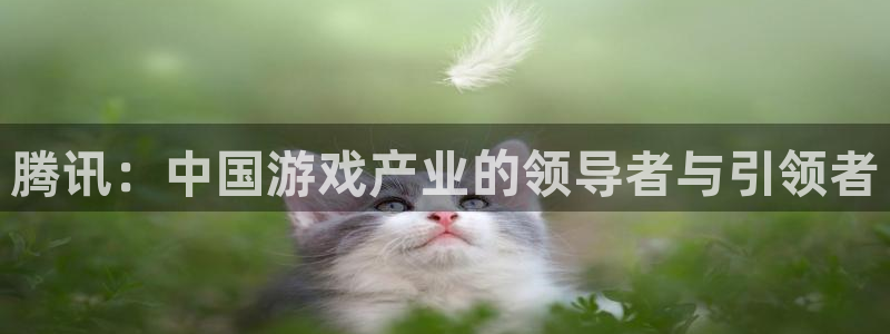 bg大游实业投资(东莞)有限公司