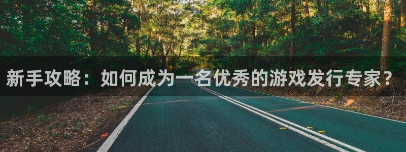 长沙bg大游子电子商务有限公司：新手攻略：如何成为一名优秀的游戏发行专家？