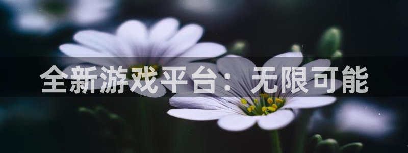 bg大游电子科技怎么样